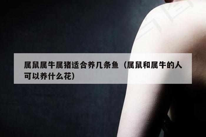 属鼠属牛属猪适合养几条鱼(属鼠和属牛的人可以养什么花)